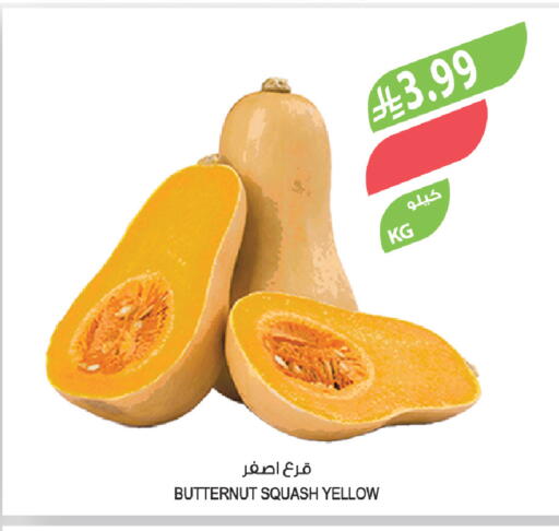 Squash available at المزرعة in مملكة العربية السعودية, السعودية, سعودية - الباحة