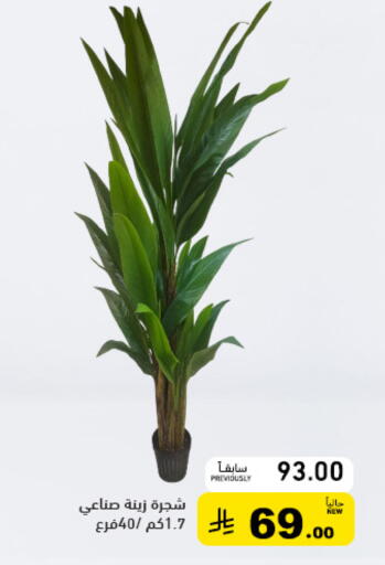 available at Aswaq Ramez in KSA, Saudi Arabia, Saudi - Qatif