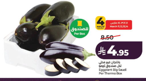 Eggplant from Saudi Arabia available at LULU Hypermarket in KSA, Saudi Arabia, Saudi - Riyadh