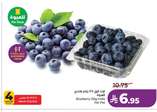 Blueberry BlueBerry from India available at لولو هايبرماركت in مملكة العربية السعودية, السعودية, سعودية - الخبر‎