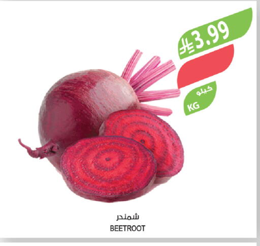 Beetroot available at المزرعة in مملكة العربية السعودية, السعودية, سعودية - الباحة