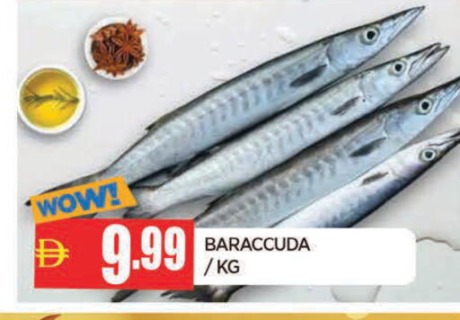 available at AL MADINA in UAE - Sharjah / Ajman