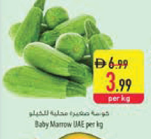 Marrow available at السفير ماركت in الإمارات العربية المتحدة , الامارات - ٱلْعَيْن‎