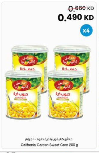 available at The Sultan Center in Kuwait - Kuwait City