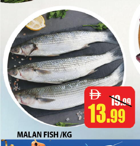 available at ليبتس هايبرماركت in الإمارات العربية المتحدة , الامارات - ٱلْعَيْن‎