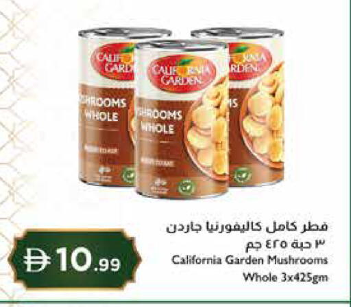 available at Istanbul Supermarket in UAE - Abu Dhabi