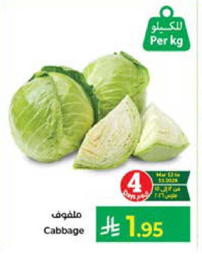 Cabbage available at Kabayan Hypermarket in KSA, Saudi Arabia, Saudi - Jeddah