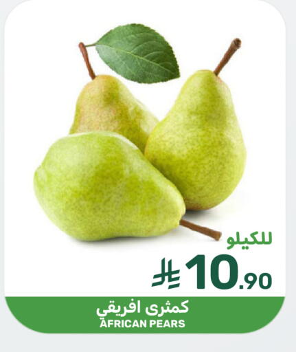 available at  مـزايــا in مملكة العربية السعودية, السعودية, سعودية - القطيف‎