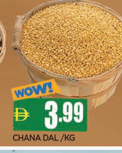 available at المدينة in الإمارات العربية المتحدة , الامارات - الشارقة / عجمان