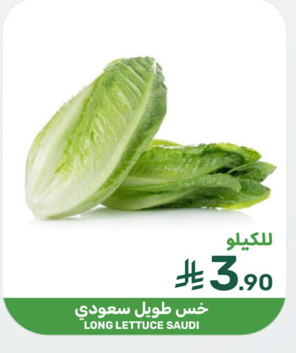 Lettuce from Saudi Arabia available at Mazaya in KSA, Saudi Arabia, Saudi - Dammam