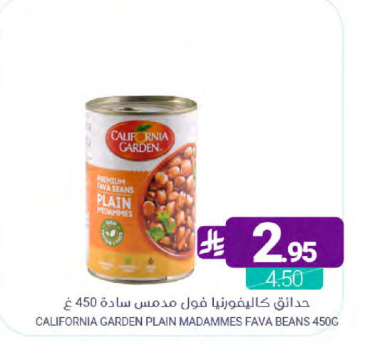 available at Muntazah Markets in KSA, Saudi Arabia, Saudi - Saihat