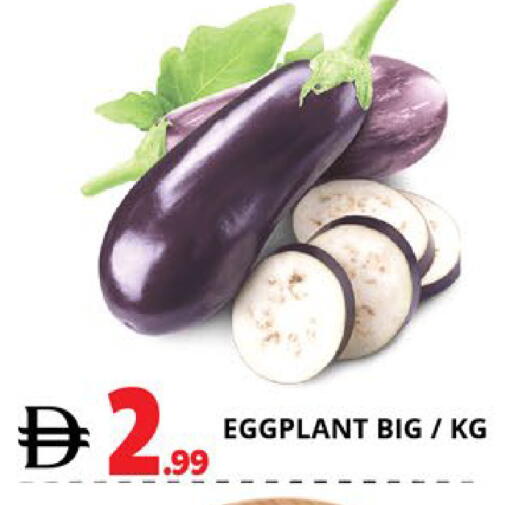 Eggplant available at اكسبرس المدينة هايبرماركت in الإمارات العربية المتحدة , الامارات - أبو ظبي