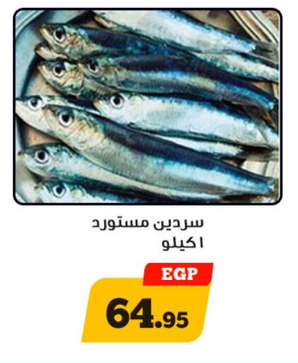 available at أولاد رجب in Egypt - القاهرة