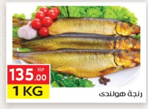 available at المحلاوي ماركت in Egypt - القاهرة