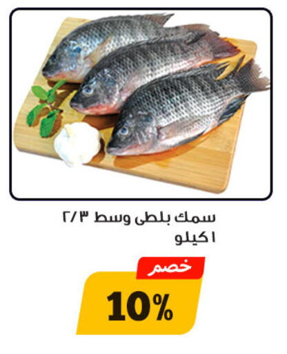 available at أولاد رجب in Egypt - القاهرة