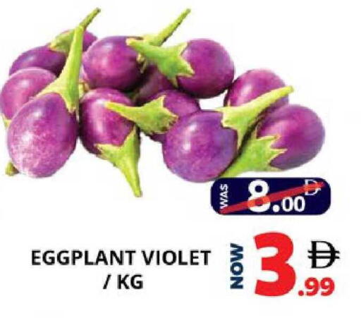 Eggplant available at اكسبرس المدينة هايبرماركت in الإمارات العربية المتحدة , الامارات - أبو ظبي