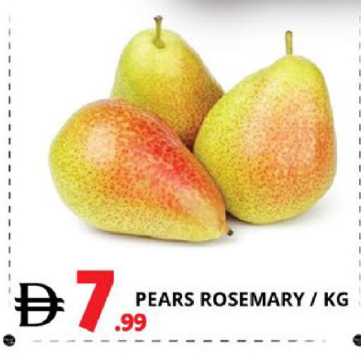 Rosemary available at اكسبرس المدينة هايبرماركت in الإمارات العربية المتحدة , الامارات - أبو ظبي