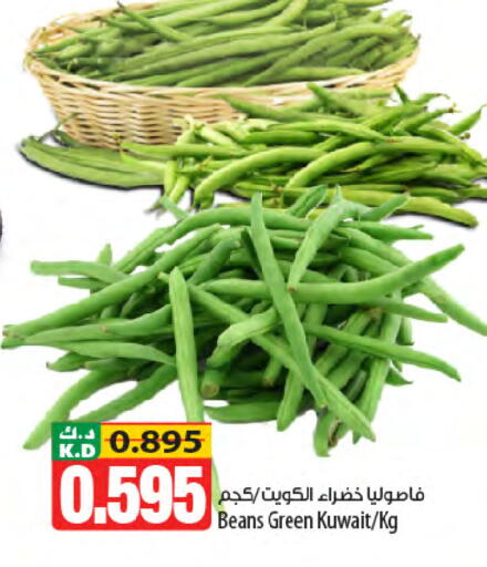 Mango from Kuwait available at مانجو هايبرماركت in الكويت - محافظة الأحمدي