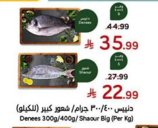 available at Hyper Panda in KSA, Saudi Arabia, Saudi - Qatif