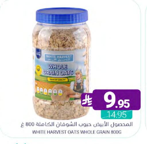 available at Muntazah Markets in KSA, Saudi Arabia, Saudi - Qatif