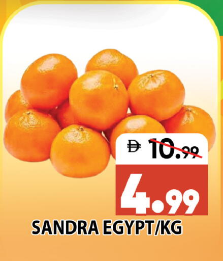 from Egypt available at ليبتس هايبرماركت in الإمارات العربية المتحدة , الامارات - رَأْس ٱلْخَيْمَة