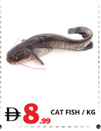 available at اكسبرس المدينة هايبرماركت in الإمارات العربية المتحدة , الامارات - أبو ظبي