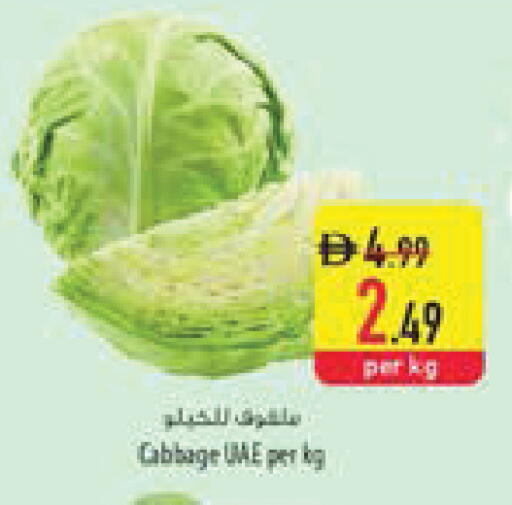 Cabbage available at السفير ماركت in الإمارات العربية المتحدة , الامارات - ٱلْعَيْن‎