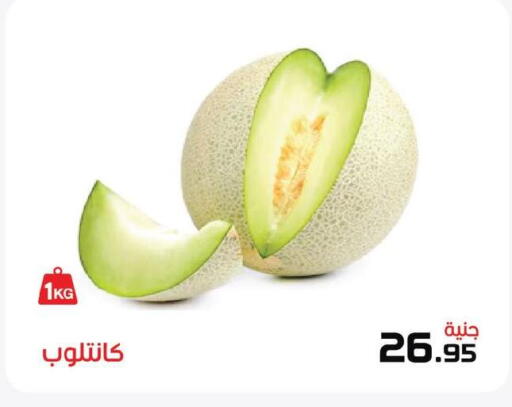 available at زهران ماركت in Egypt - القاهرة