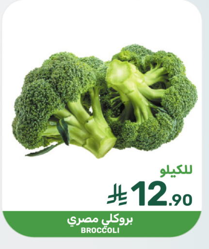 Broccoli available at Mazaya in KSA, Saudi Arabia, Saudi - Dammam