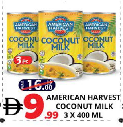 Coconut available at اكسبرس المدينة هايبرماركت in الإمارات العربية المتحدة , الامارات - أبو ظبي