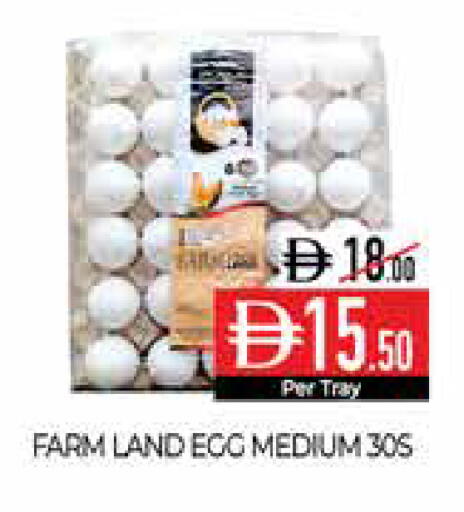 available at Delice Supermarket in UAE - Abu Dhabi