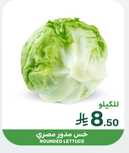 Lettuce available at Mazaya in KSA, Saudi Arabia, Saudi - Dammam