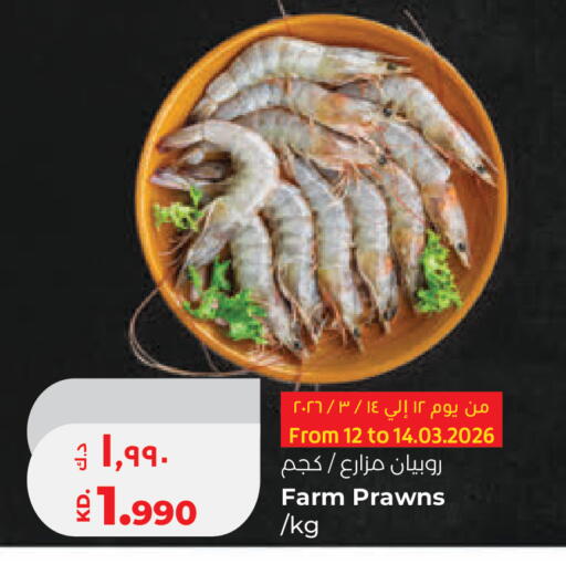 available at لولو هايبر ماركت in الكويت - محافظة الأحمدي