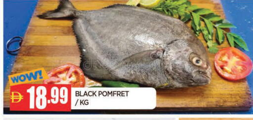 available at AL MADINA in UAE - Sharjah / Ajman