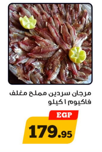 available at أولاد رجب in Egypt - القاهرة