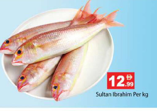 available at جلف هايبرماركت ذ.م.م in الإمارات العربية المتحدة , الامارات - رَأْس ٱلْخَيْمَة