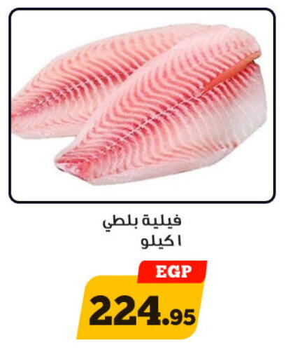 available at أولاد رجب in Egypt - القاهرة