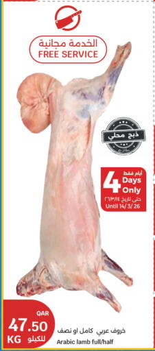 available at سيتي هايبرماركت in قطر - الوكرة