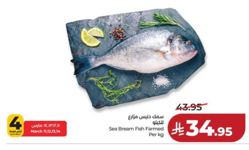 available at لولو هايبرماركت in مملكة العربية السعودية, السعودية, سعودية - حفر الباطن