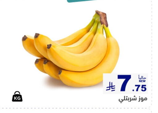 available at أسواق رامز in مملكة العربية السعودية, السعودية, سعودية - المنطقة الشرقية