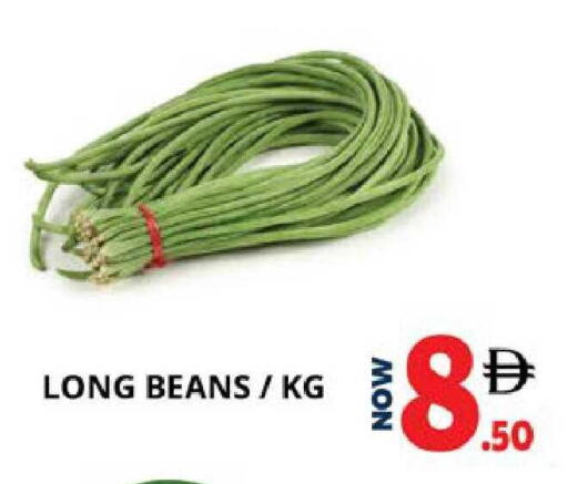 available at اكسبرس المدينة هايبرماركت in الإمارات العربية المتحدة , الامارات - أبو ظبي