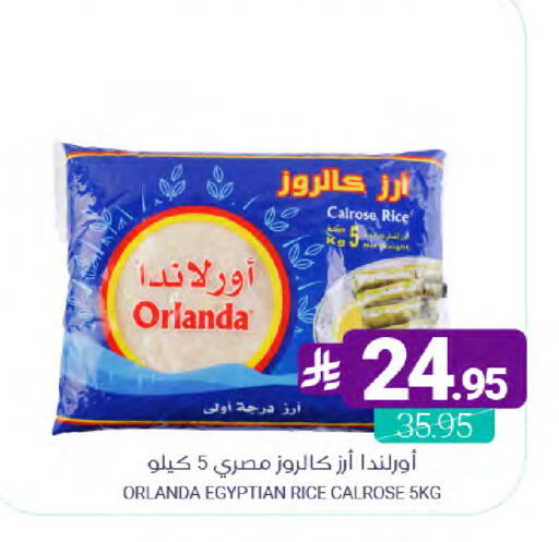 available at Muntazah Markets in KSA, Saudi Arabia, Saudi - Qatif