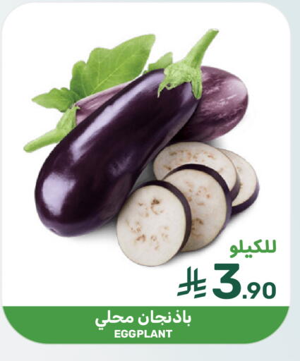 Eggplant available at Mazaya in KSA, Saudi Arabia, Saudi - Dammam