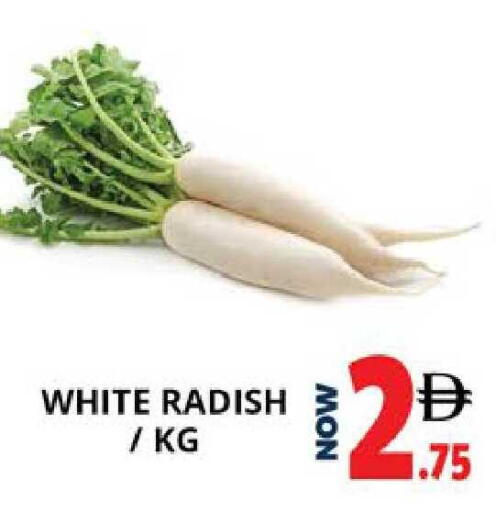 Radish available at اكسبرس المدينة هايبرماركت in الإمارات العربية المتحدة , الامارات - أبو ظبي