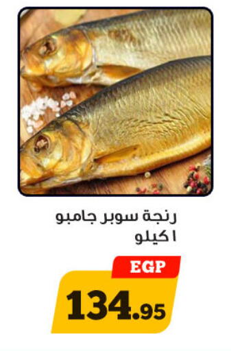 available at أولاد رجب in Egypt - القاهرة