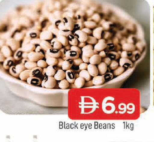 available at المدينة in الإمارات العربية المتحدة , الامارات - الشارقة / عجمان