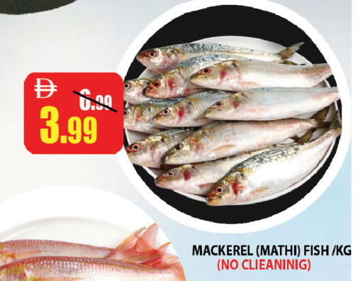 available at ليبتس هايبرماركت in الإمارات العربية المتحدة , الامارات - ٱلْعَيْن‎