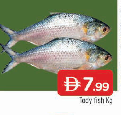 available at AL MADINA in UAE - Sharjah / Ajman