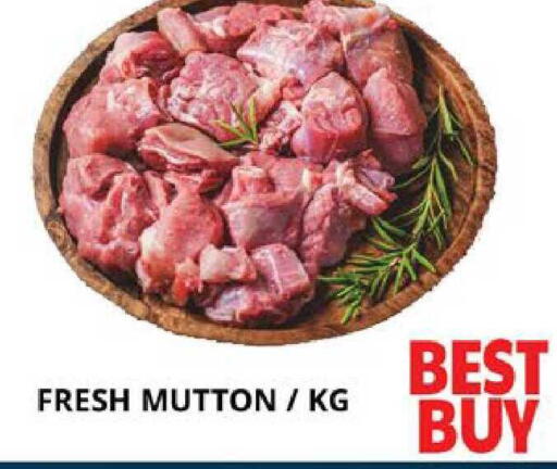 available at اكسبرس المدينة هايبرماركت in الإمارات العربية المتحدة , الامارات - أبو ظبي