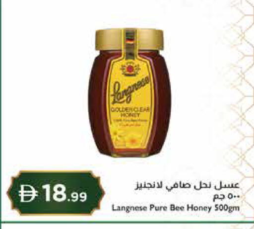 available at Istanbul Supermarket in UAE - Abu Dhabi